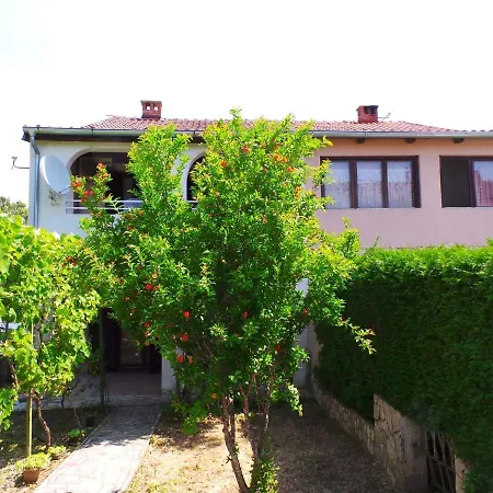 Apartment In Valbandon/istrien 8608 Štinjan